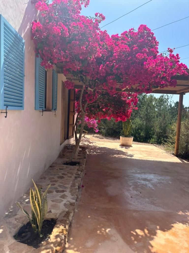 Casa Rustick Villa San Francisco Javier Exterior photo